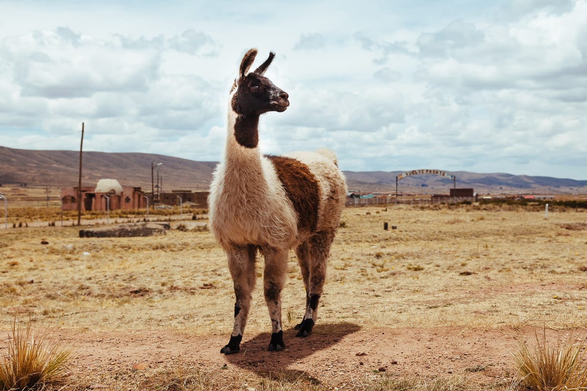 Bolivianische Landschaften