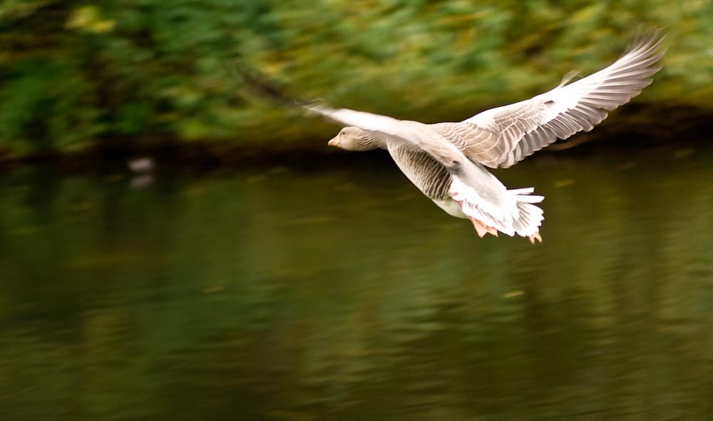 Catching the early worm.